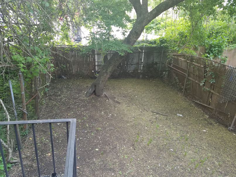 Backyard of the Bed-Stuy house
